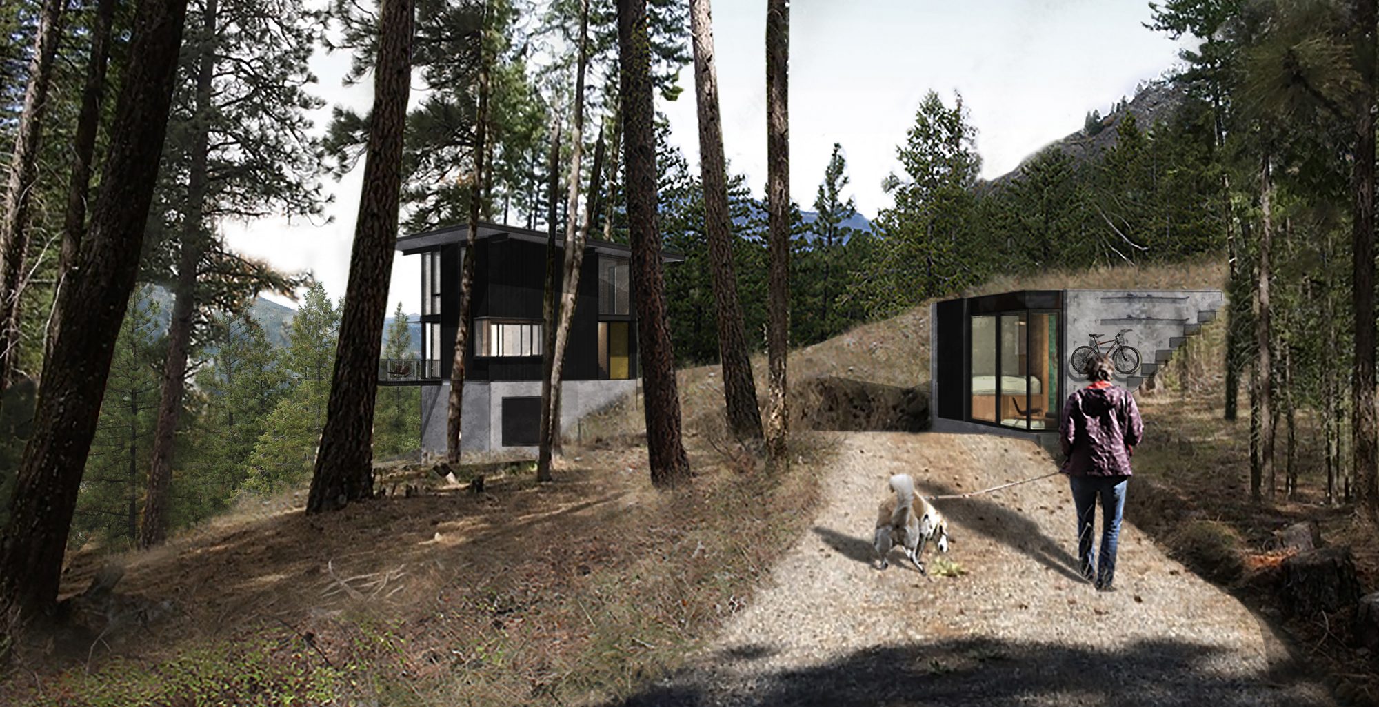 ARROWLEAF CABIN AND TINYLEAF CABIN CONCEPT RENDERING