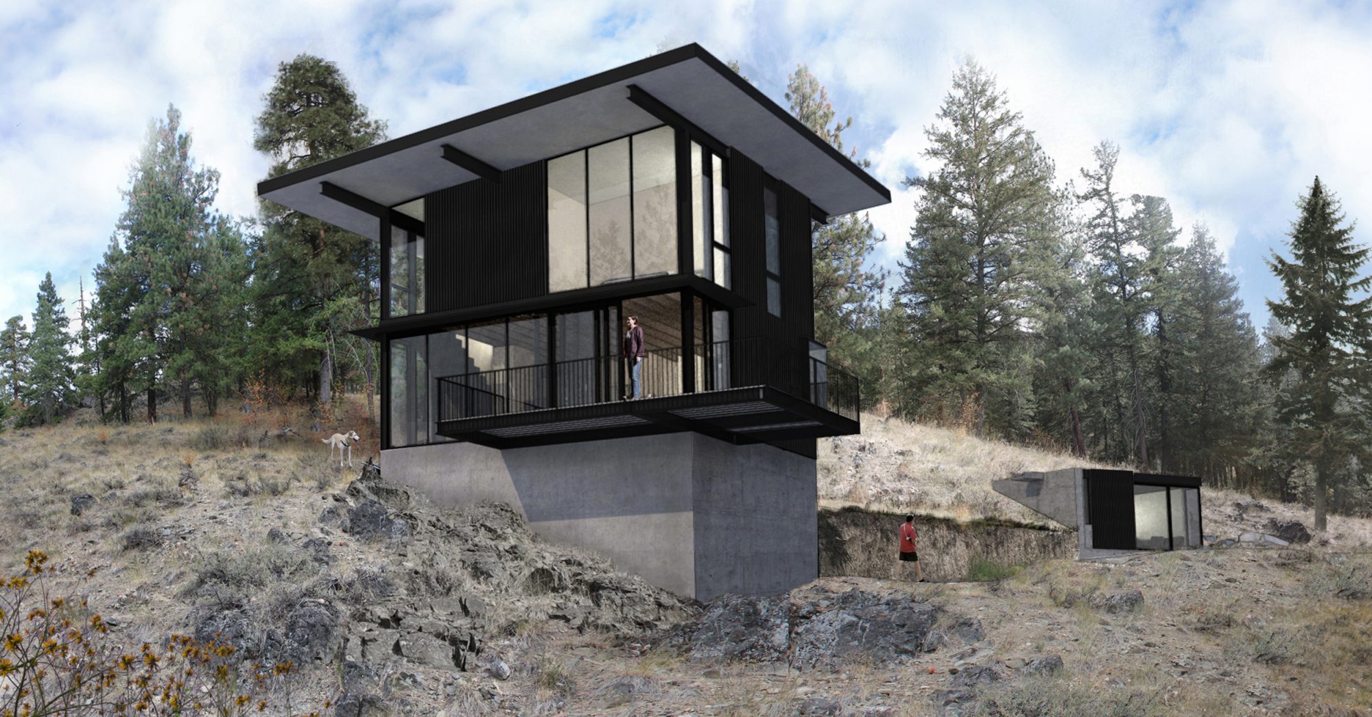 ARROWLEAF CABIN CONCEPT RENDERING WITH TINYLEAF