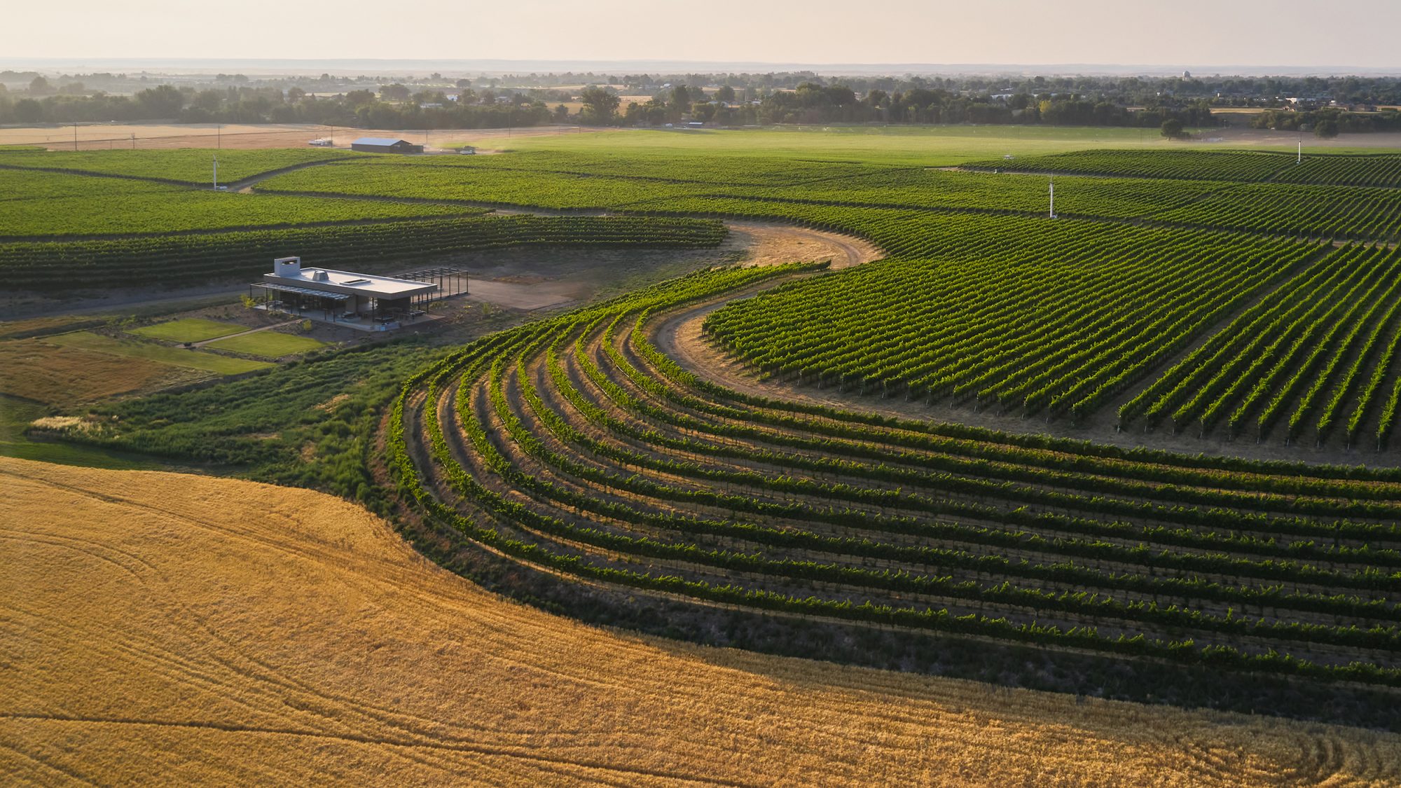 ALTON WINES SE Aerial