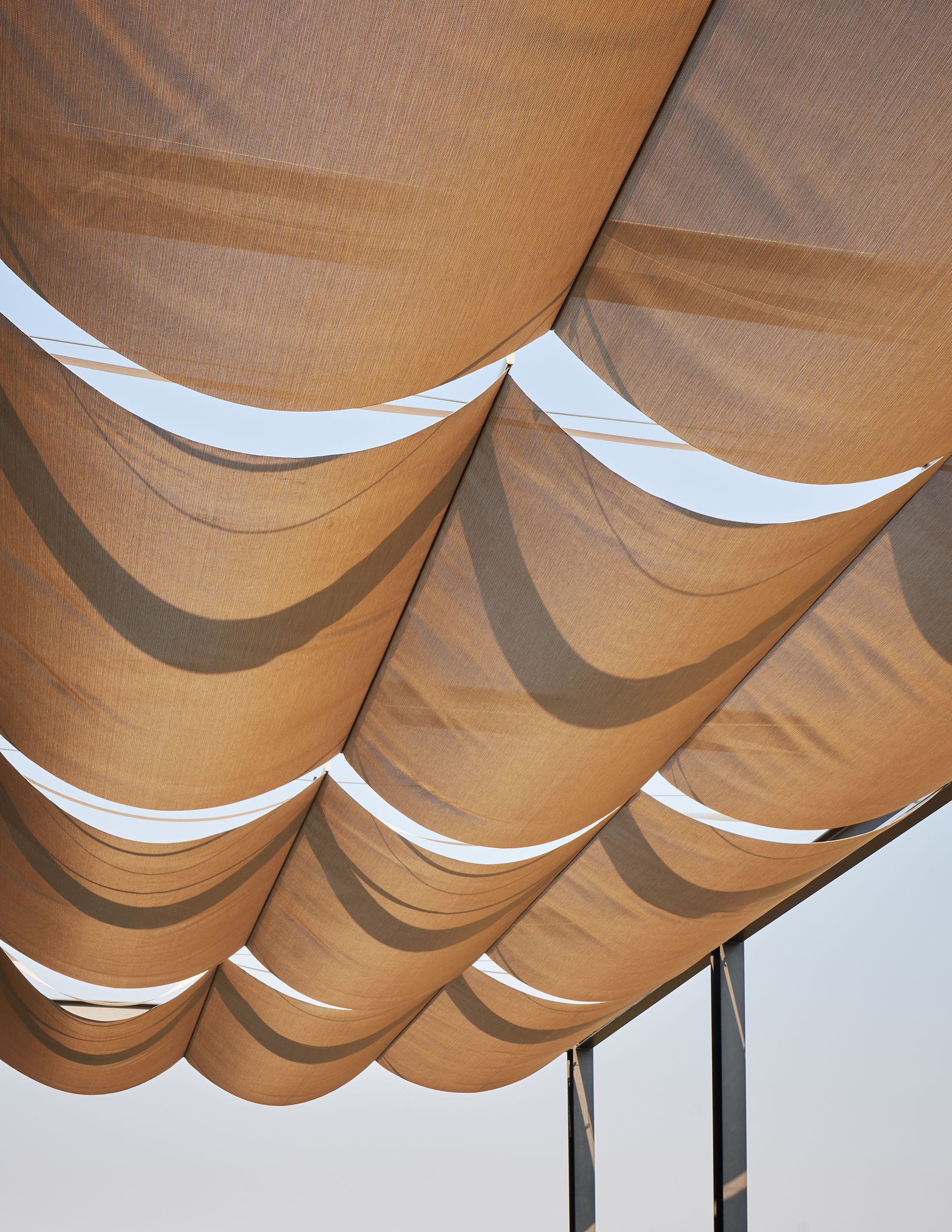 ALTON WINES Canopy Detail