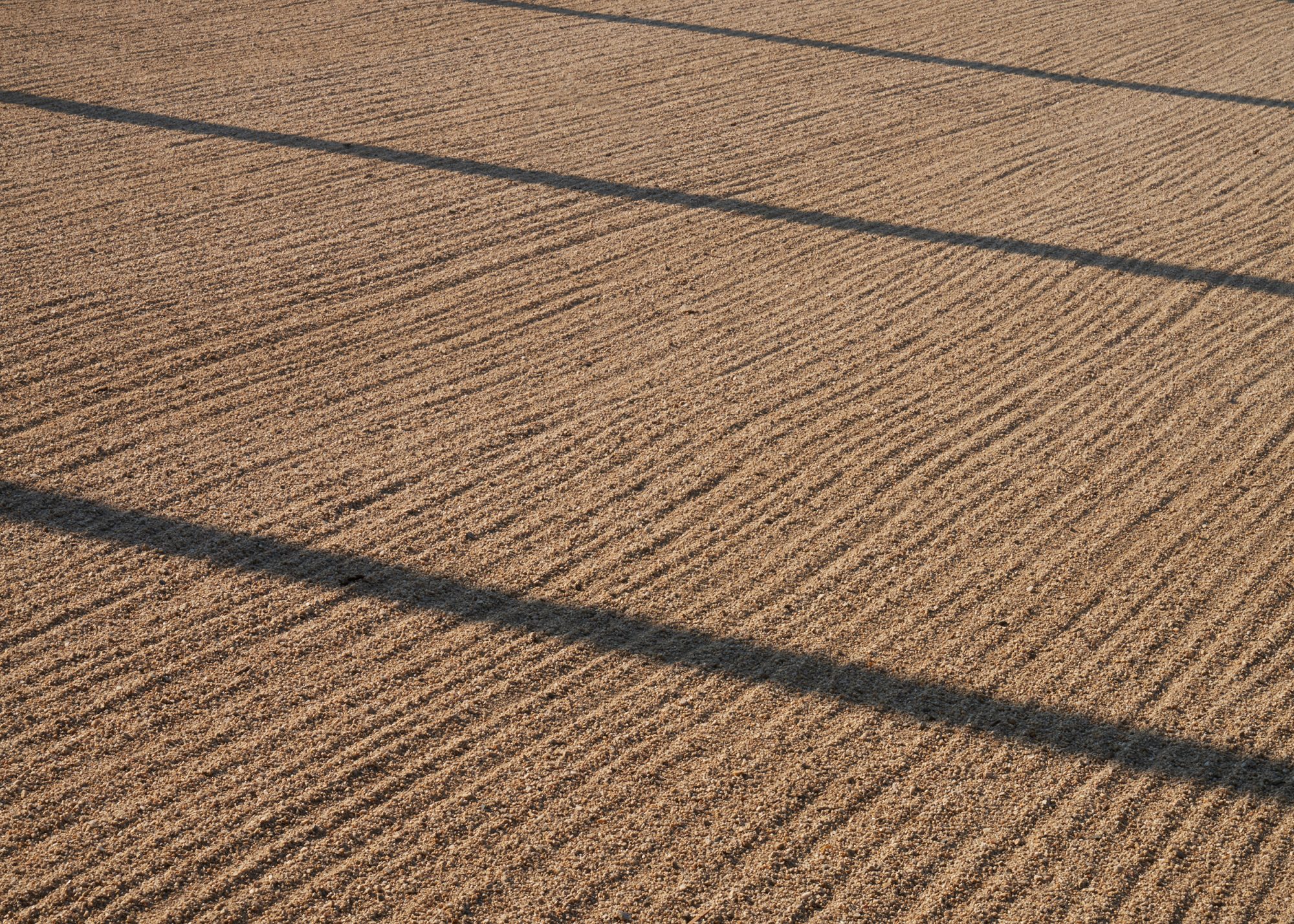 ALTON WINES Sand and Shadows