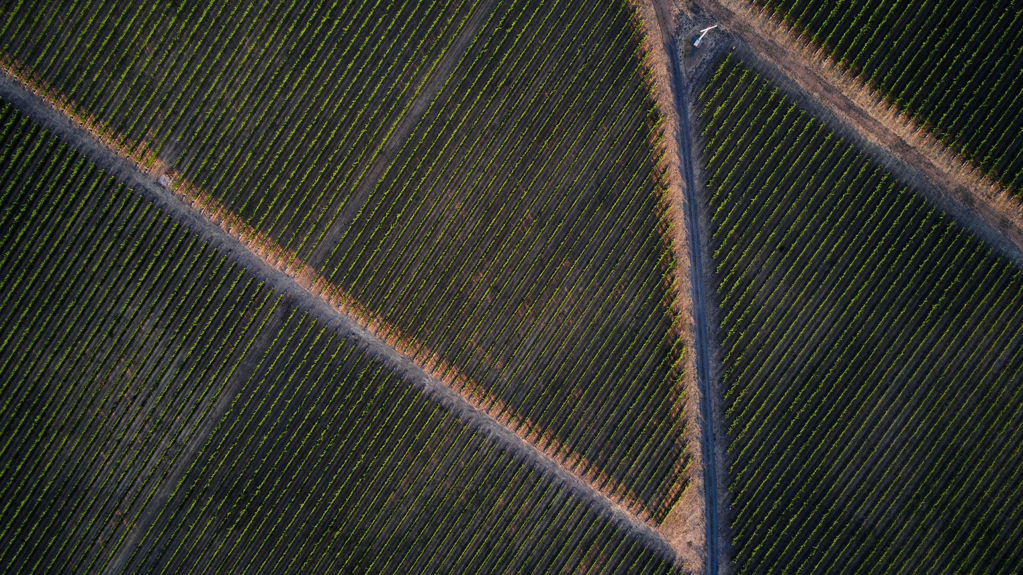 ALTON WINES Vineyard Aerial