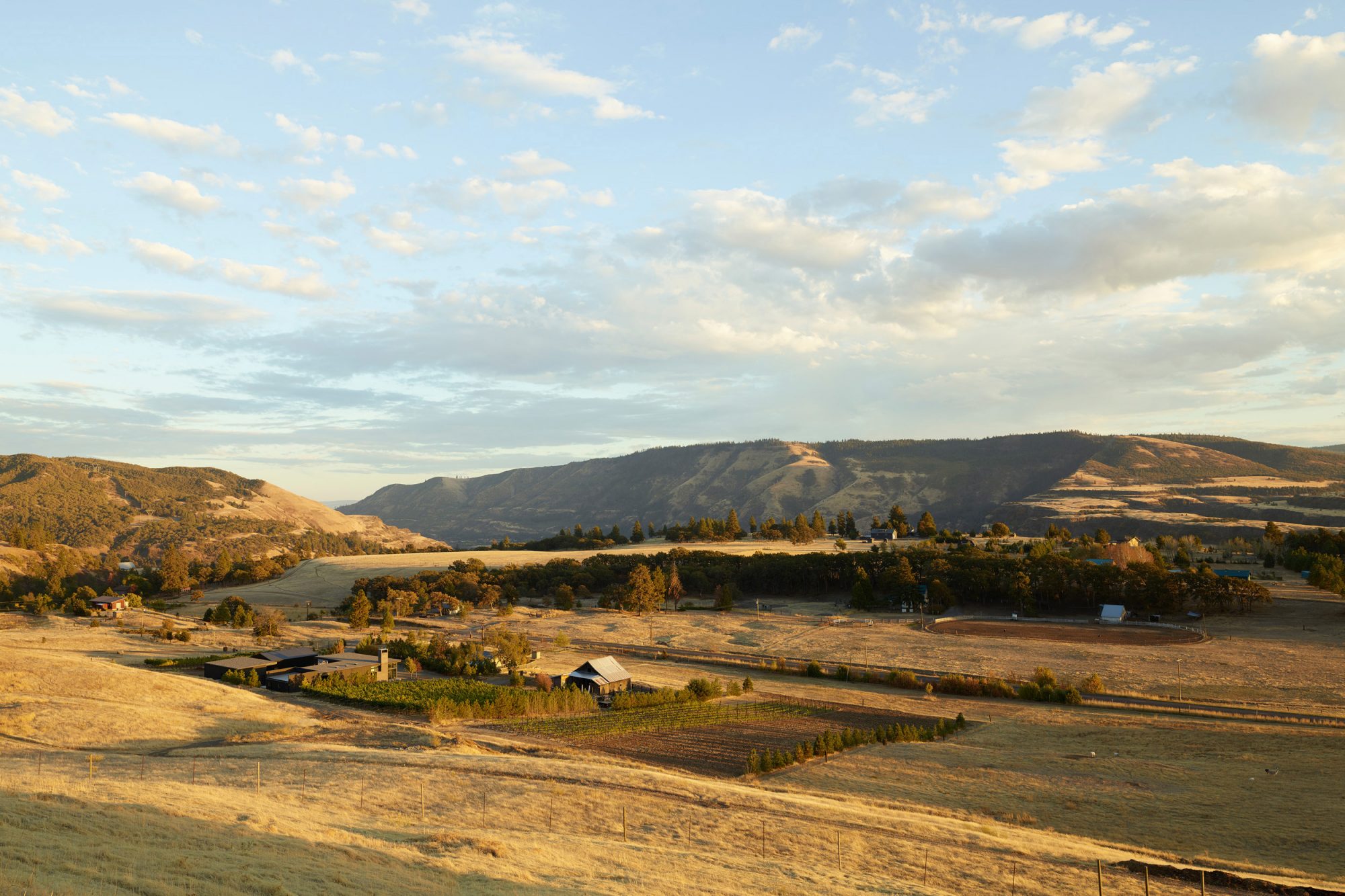 COR CELLARS IN THE GORGE LANDSCAPE